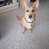 Izan avatar