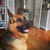 Capua avatar