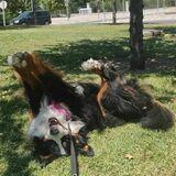 Matilde avatar