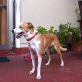 Rita avatar