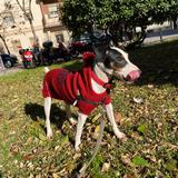 Jacky  avatar