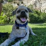 Toby avatar