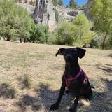Mia avatar