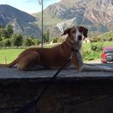 Lola avatar