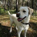 Alma avatar