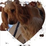 neula avatar