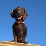 Rubi avatar