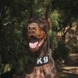 Eros avatar