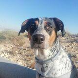 Hana avatar
