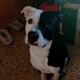 Ras avatar