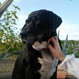 Peggy avatar