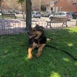 Ralf avatar