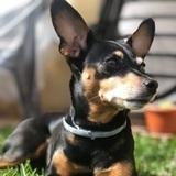 Noah avatar