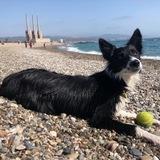 Lila avatar