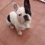 Murci avatar