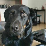 Tosko avatar