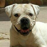 Nube avatar