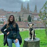 Chinchín avatar