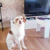 toby avatar