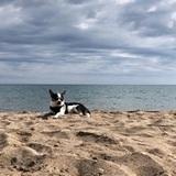 Zeus avatar