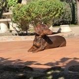 Tino  avatar