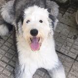 Lana avatar
