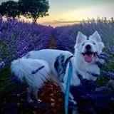 Menta  avatar