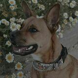 Noah avatar