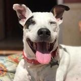 Wilson avatar