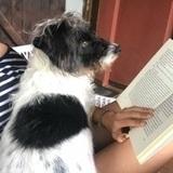 Lola avatar