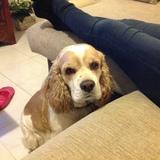 Toby avatar