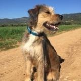 Bimba avatar