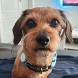 Zeus avatar