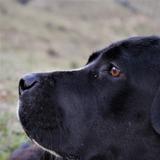Tú avatar