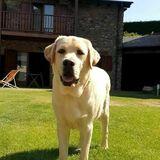 George avatar