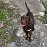 Apolo avatar