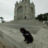 Nevado avatar