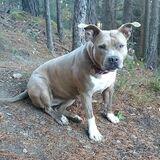 Kiara avatar
