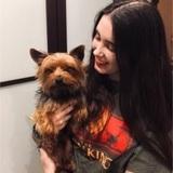 Draco avatar