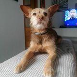 Lusi avatar