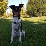 Becquer avatar