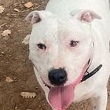 Tyson  avatar