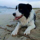 Nuu avatar