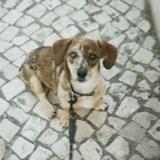 Patxi  avatar