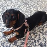 Vilma avatar