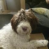Pepa avatar