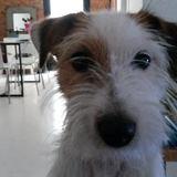 Berta avatar