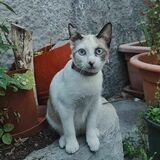 Leticia  avatar