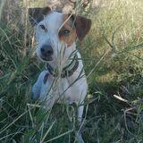Nina avatar