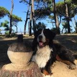 buddy avatar